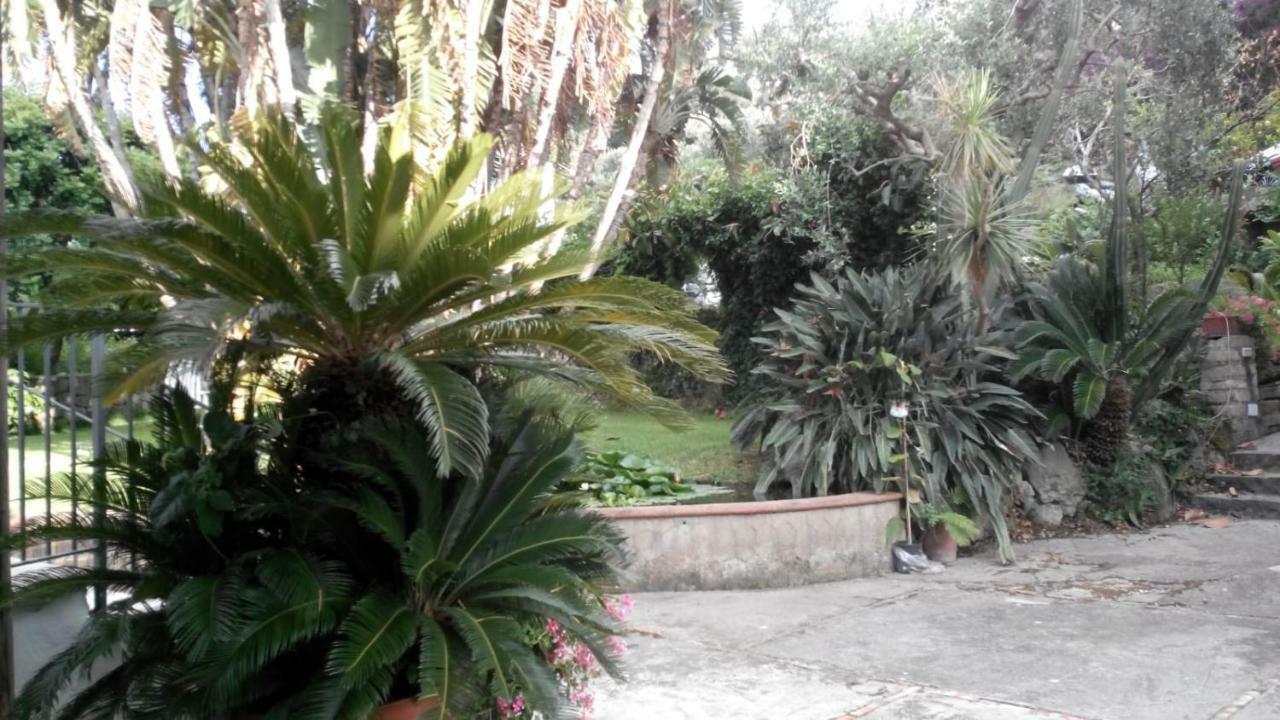 Villetta Baia San Montano Lacco Ameno  Bagian luar foto